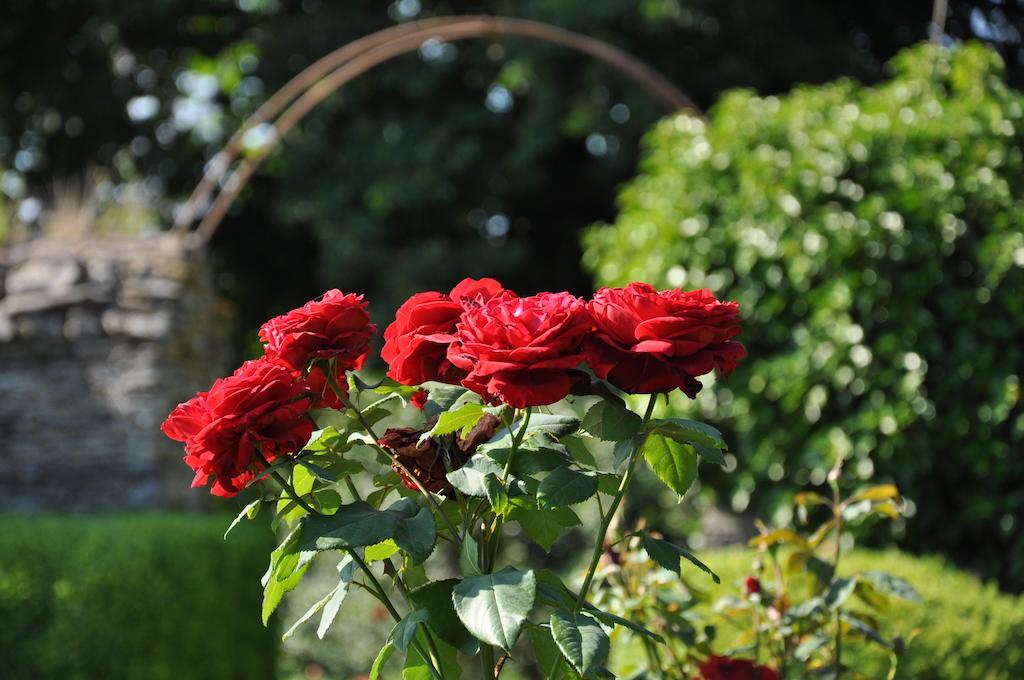 Chateau Du Plessis - Anjou La Jaille-Yvon エクステリア 写真